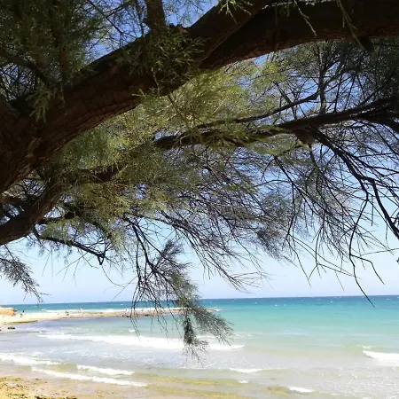 Apartamento Tra Vento E Mare Lendinuso Exterior foto